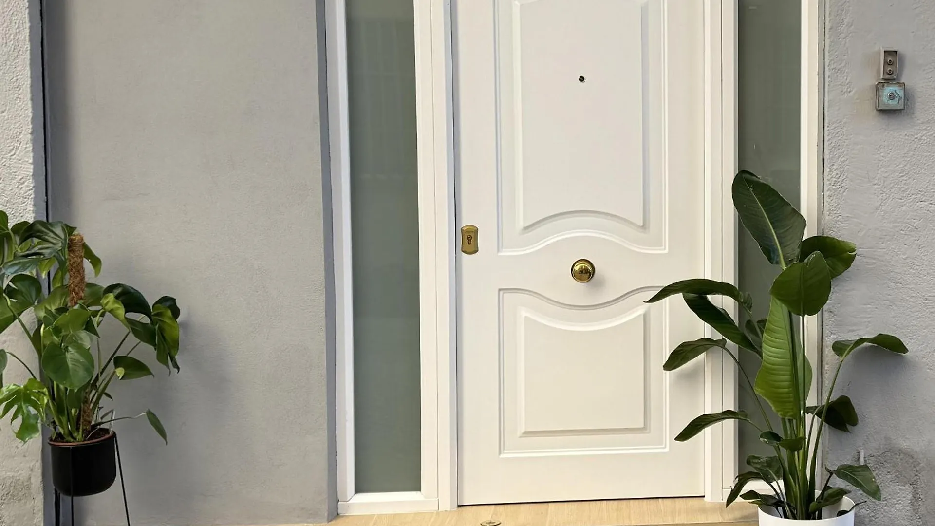 Apartment Apn Flowers Houses Granada
